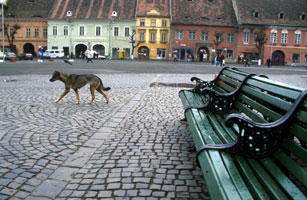 Rumaenien-Sibiu/Herrmannstadt